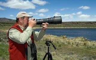 Полное руководство по фотографии дикой природы