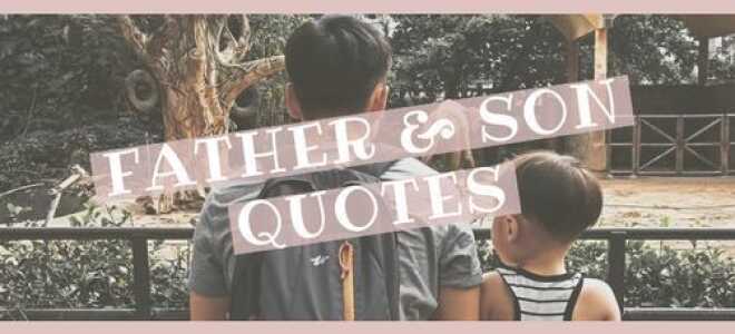 Цитаты отца и сына