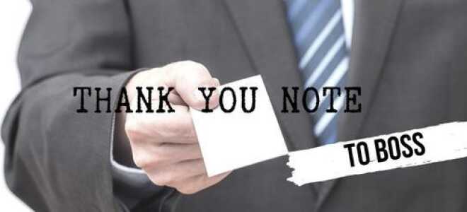 Спасибо, Босс