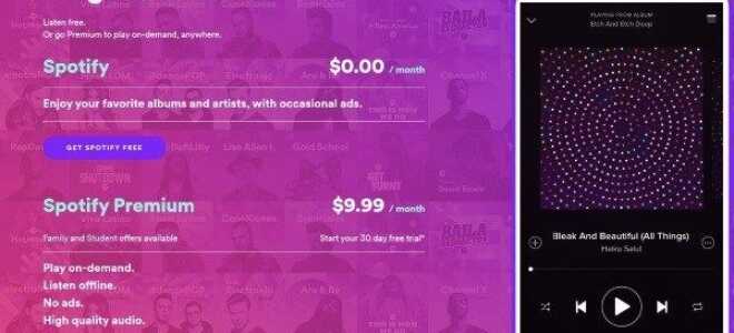 Как найти лучшие каналы Spotify и плейлисты