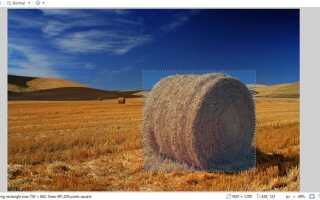 Как повернуть выделение в Paint.NET