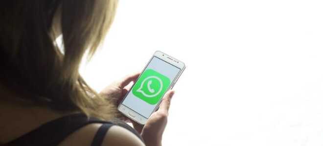 Технические советы: Как использовать наклейки для крикета на WhatsApp во время IPL 2019