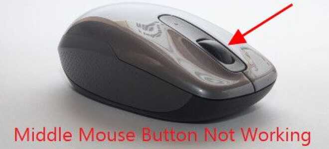 Средняя кнопка мыши не работает [Исправлено] — Лучшие решения