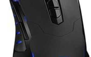 Мышь замерзла на ноутбуке