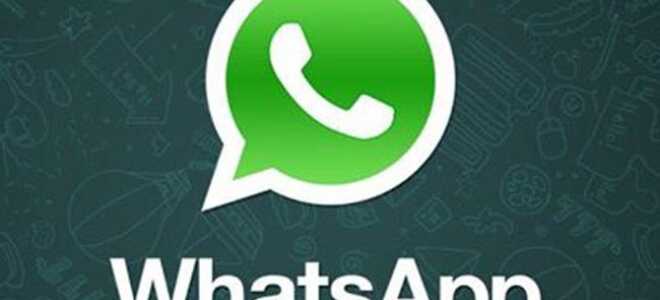 7 советов, как сделать ваши чаты в WhatsApp приватными и безопасными