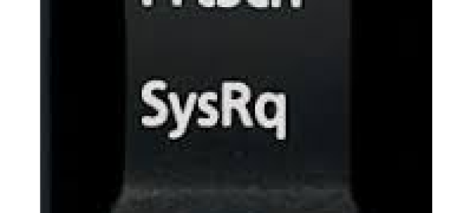 Экран печати не работает