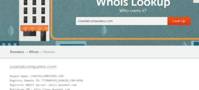 Как узнать, кому принадлежит домен с помощью WHOIS