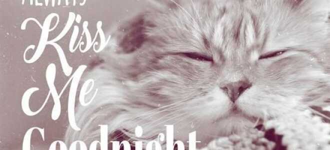 Спокойной ночи, чтобы выспаться