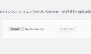 Как исправить &lsquo;Пакет не может быть установлен. Действительные плагины не найдены в WordPress