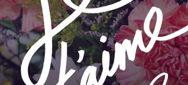 Я люблю тебя на разных языках