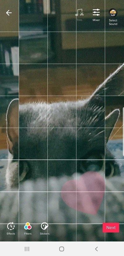 Tik Tok фотоколлаж