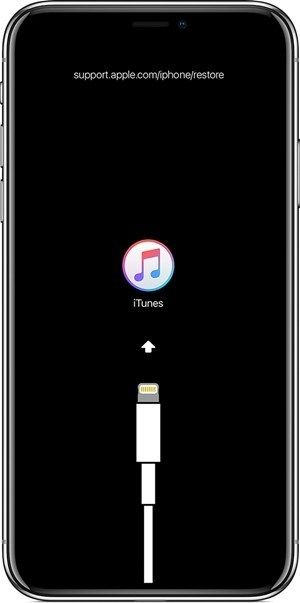 Экран iPhone черный - что делать