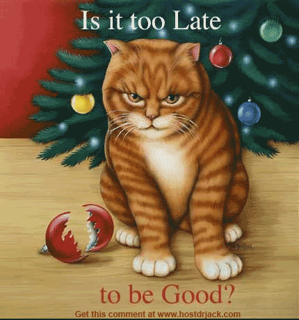Праздничный Gif Cat на Рождество 1