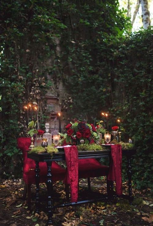 романтический ужин в лесу