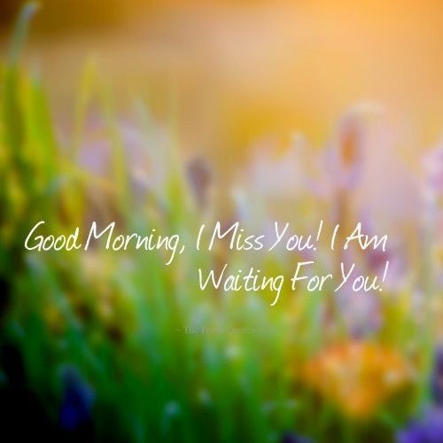 Доброе утро фото в траве