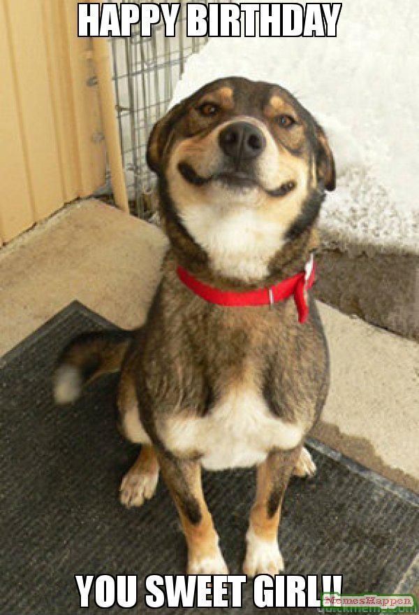 Прохладный интересный мем с днем ​​рождения для девочки