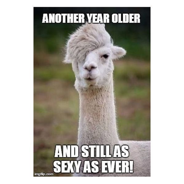 Удивительный мем с днем ​​рождения с сексуальным смыслом