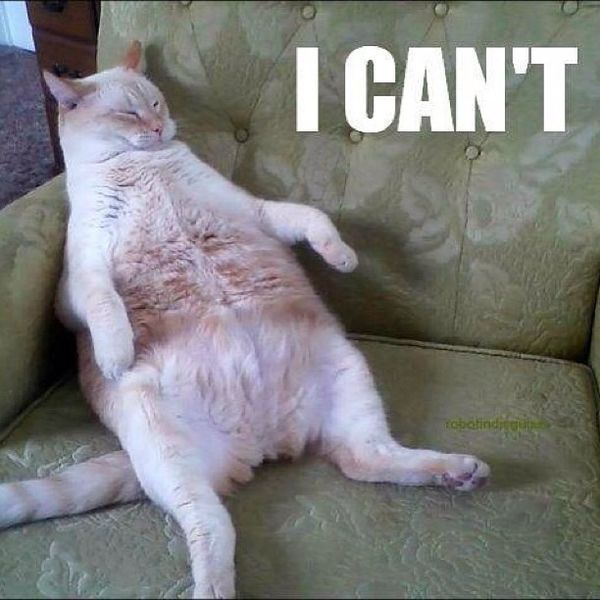 смешные мотивационные мемы