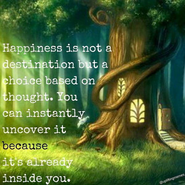 возвышающие мемы