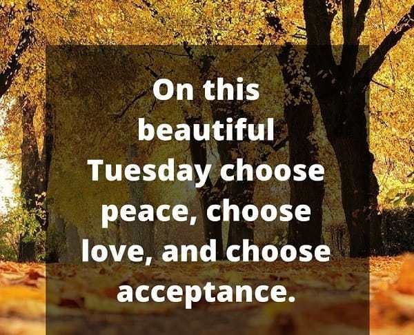 Ошеломляющий вторник вдохновляющие образы