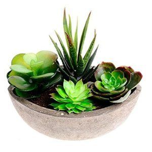 Искусственные кактусы