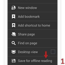 save_for_offline_reading_menu