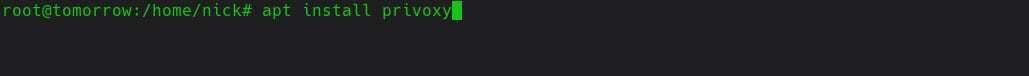 Установить Privoxy