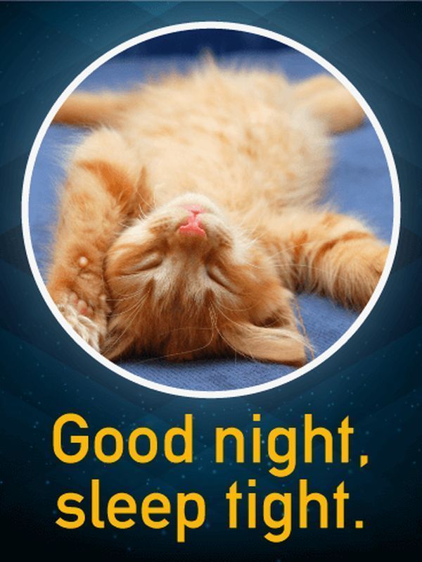 Сонные спокойной ночи картинки для вас 2