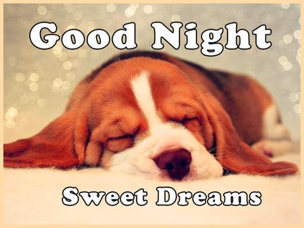 Симпатичные фото для спокойной ночи 4