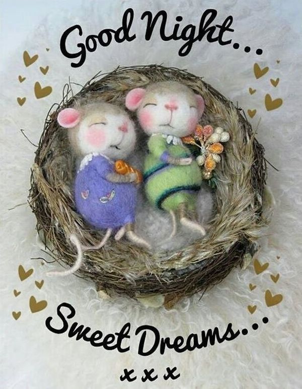 Спокойной ночи изображения для использования в пятницу и каждый день 6