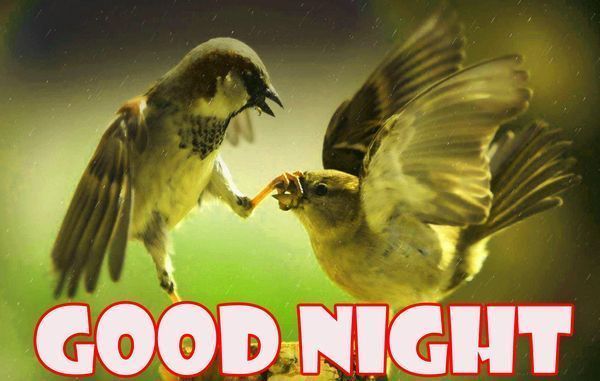 Новые идеи последних хороших изображений N8 4