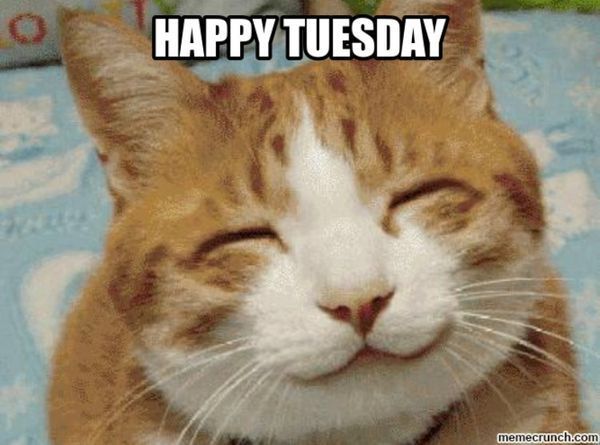 вторник мемы 5