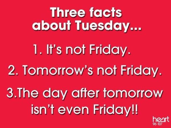 вторник мемы 6