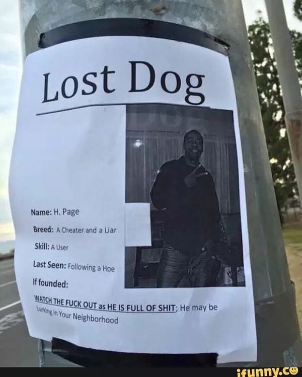Потерянная собака...